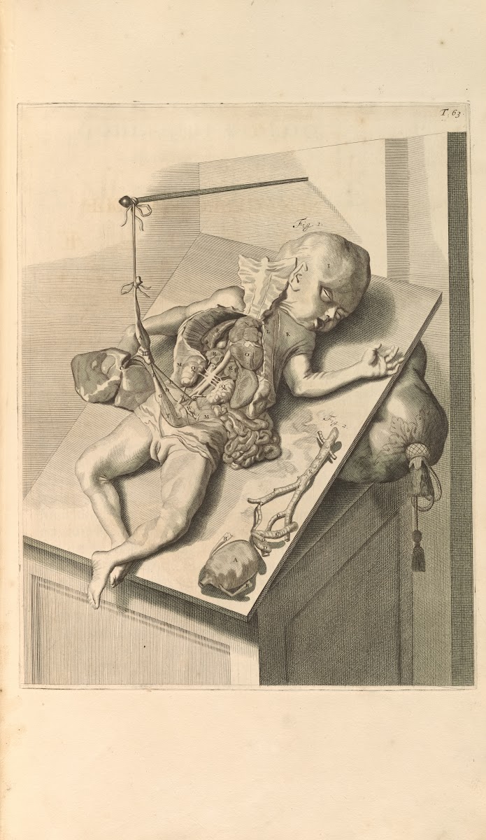Anatomia humani corporis Pl064 1685