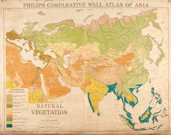 Asia  Natural vegitation 1912