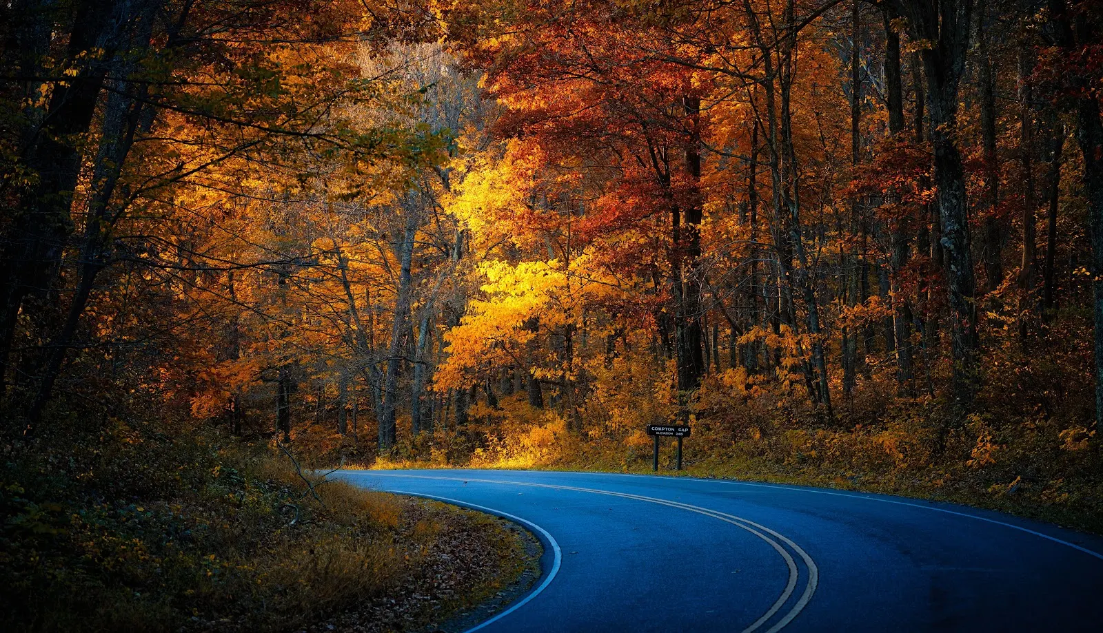 Winding Road in Autumn Forest - Landscape Photography 5K Wallpaper (6144x3530)