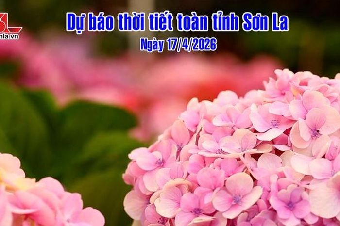 Dự báo thời tiết toàn tỉnh Sơn La ngày 17/4/2026 - Báo Sơn La