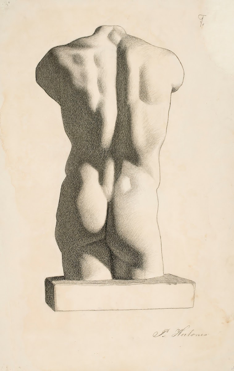 Back of a Male Torso 1886
