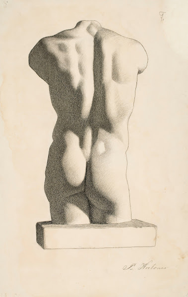 Back of a Male Torso 1886