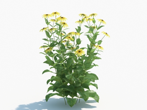 Maxtree - Plant Models Vol.3
