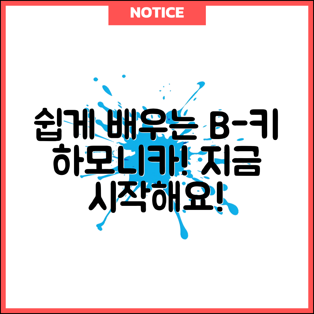 누구나 쉽게 배울 수 있는 b키다이아토닉하모니카