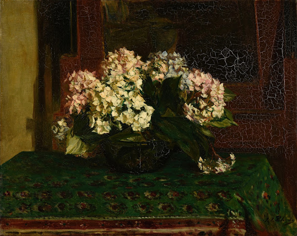 Hortensias grande chaleur