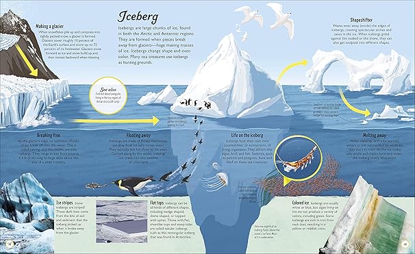 Life Cycle — gambar 3