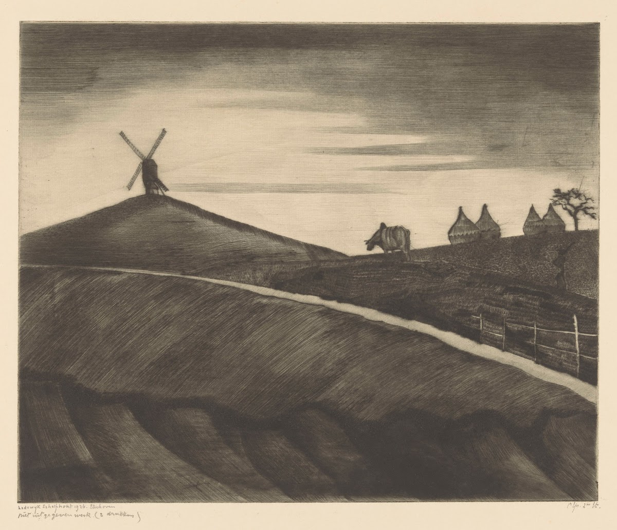 Heuvellandschap met ploegende os bij Etikhove 1926