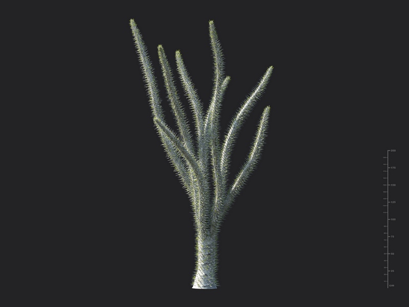 Maxtree - Plant Models Vol.130