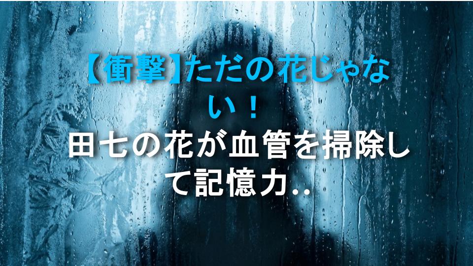 【衝撃】ただの花じゃない！田七の花が血管を掃除して記憶力を爆上げするってマジ？
