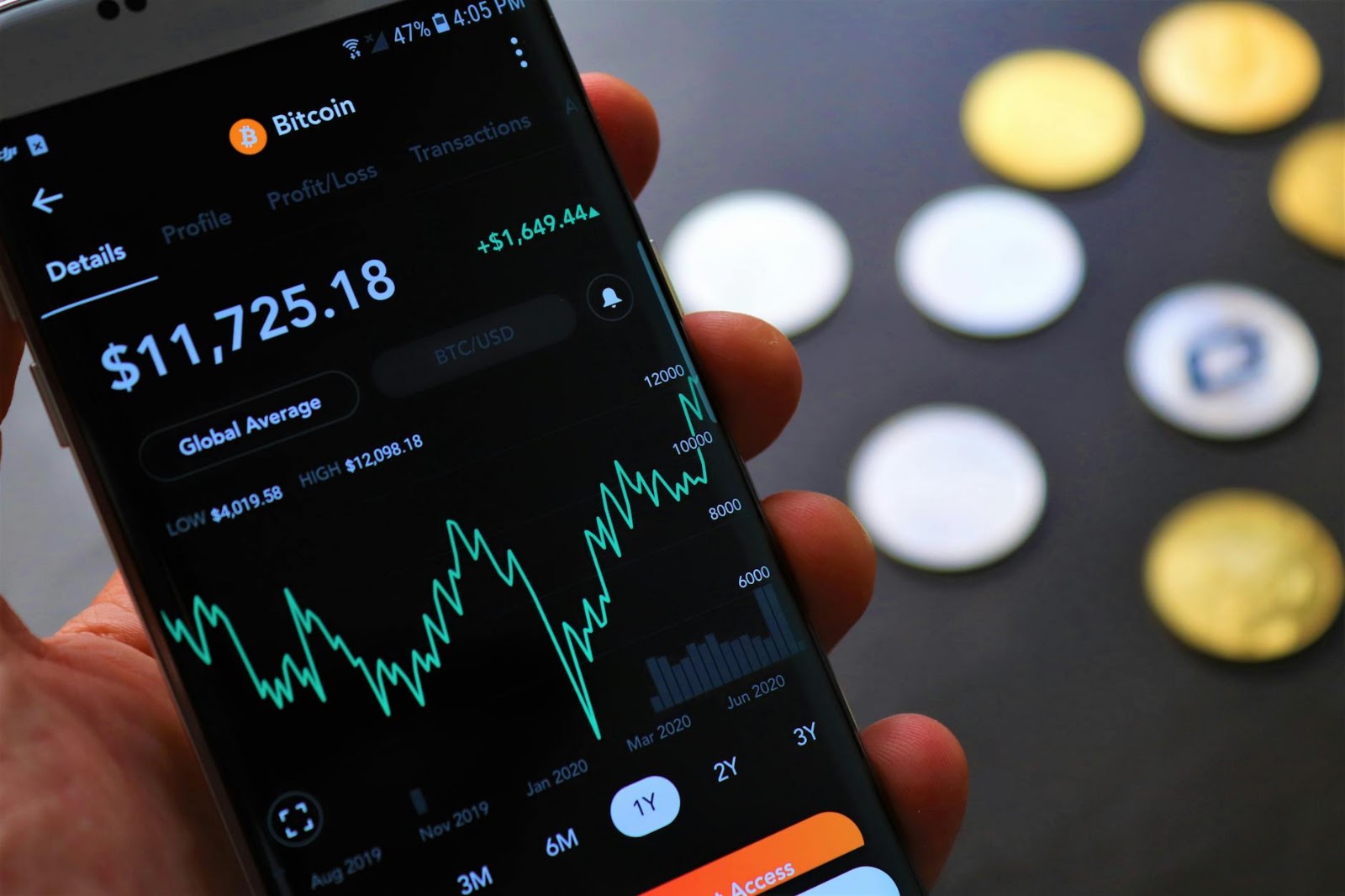 Investor grappling with Bitcoin volatility and the future of crypto price analysis