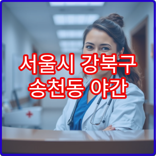 서울시 강북구 송천동 야간 정형외과 관절염·척추측만증 진료 병원