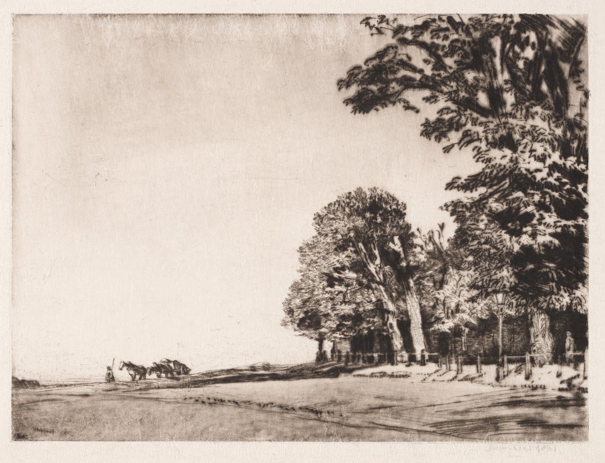 Hampstead Heath 1906