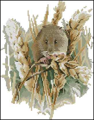 CMP 400547 Harvest Mouse