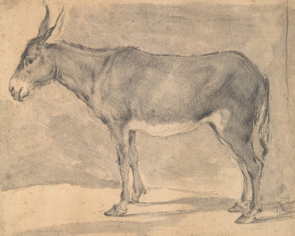 Donkey 17th century