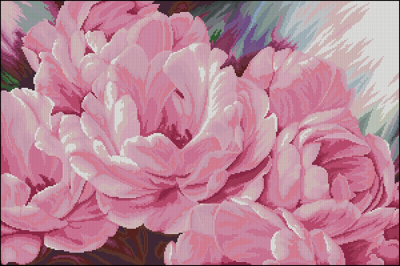 CMP HCT303 Pink Peonies