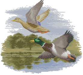 CMP 2888 Pattern