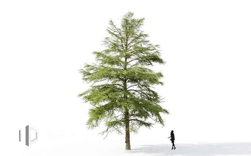 Maxtree - Plant Models Vol.9