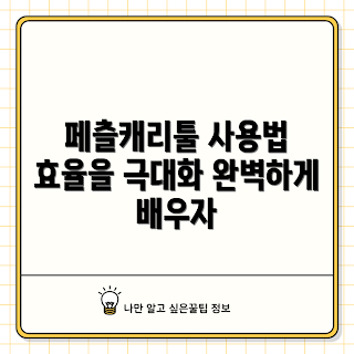 페츨캐리툴 사용법, 페츨캐리툴 장점, 페츨캐리툴 추천, 어떻게 페츨캐리툴을 활용하나, 왜 페츨캐리툴을 선택해야 할까