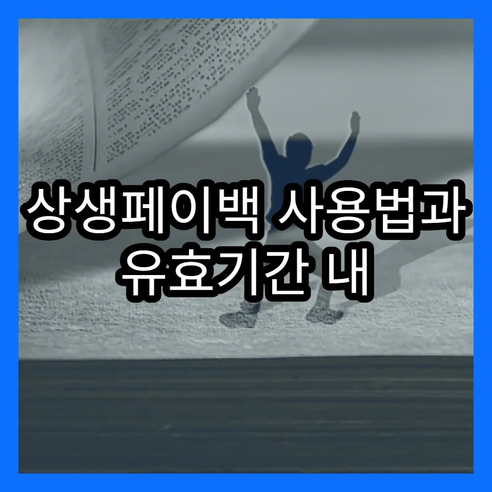 상생페이백 사용법과 유효기간 내 사용법 소개