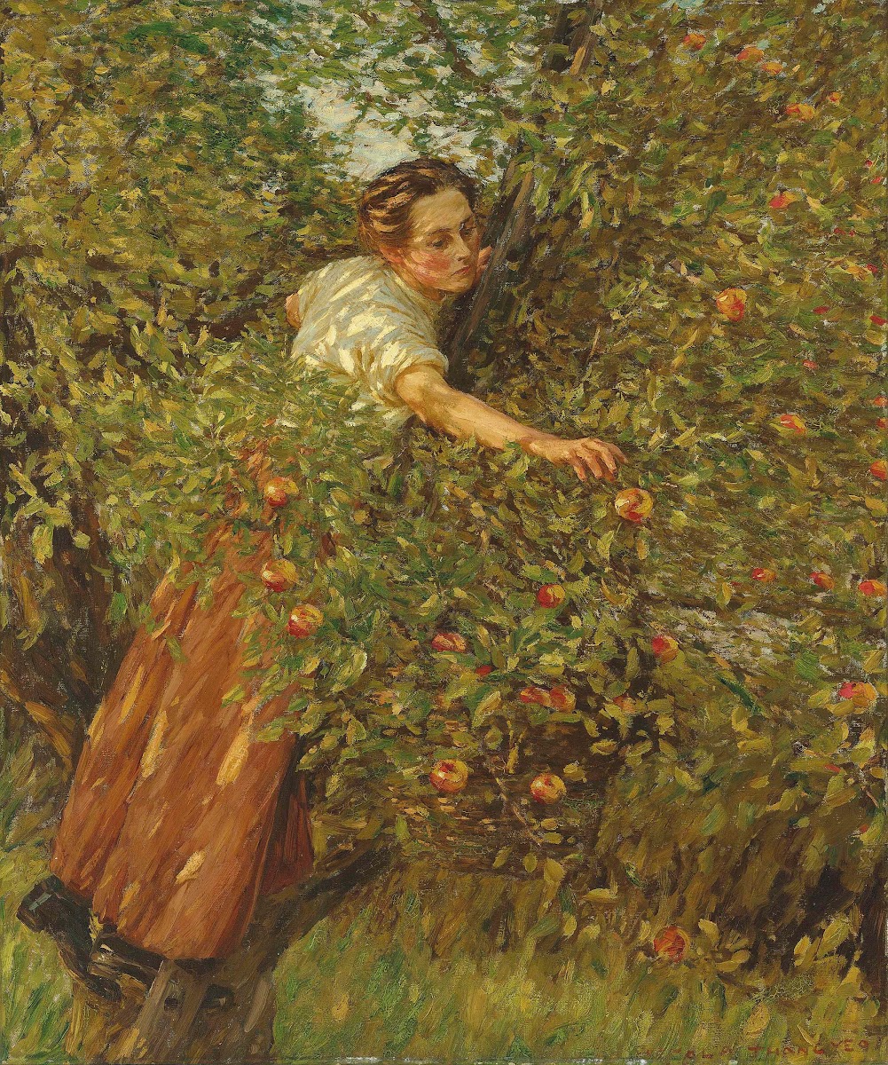 Sussex Apples