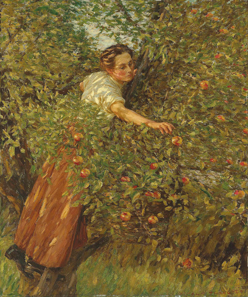 Sussex Apples