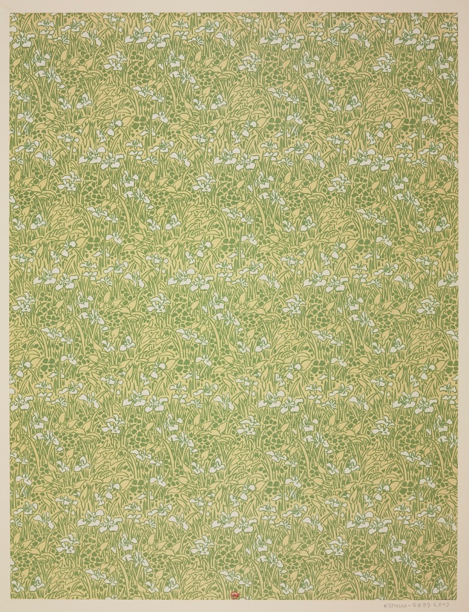 Ensemble de papiers de garde pour Eugène Verneau Pl30 1913 1923