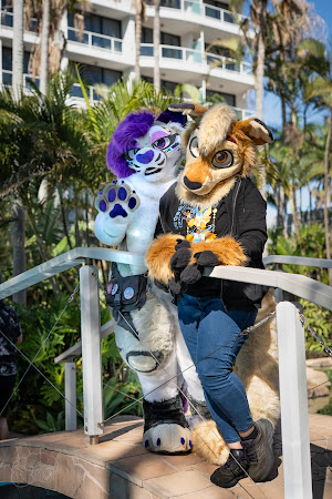 furdu-03831.jpg