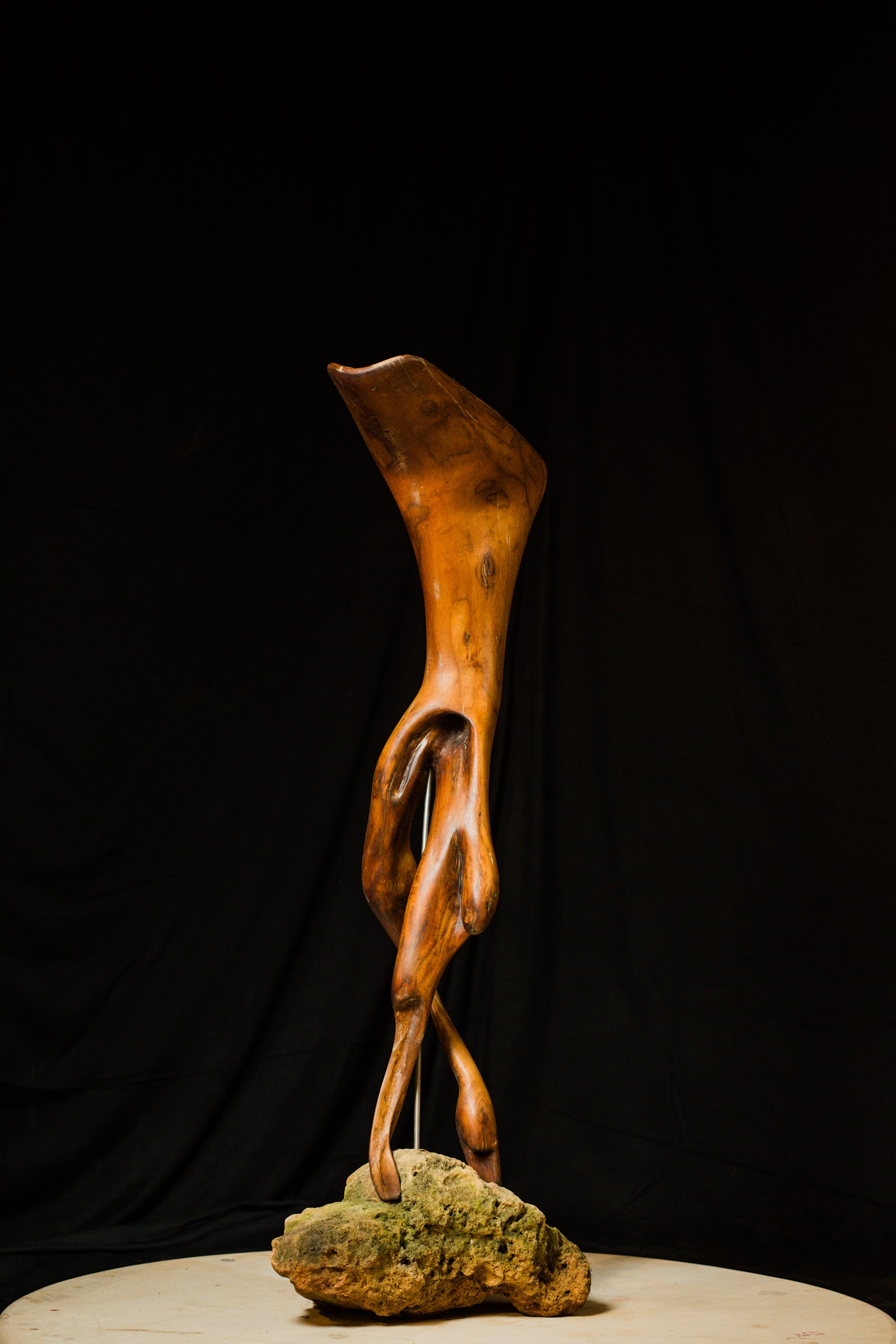 Poised, studio view 4