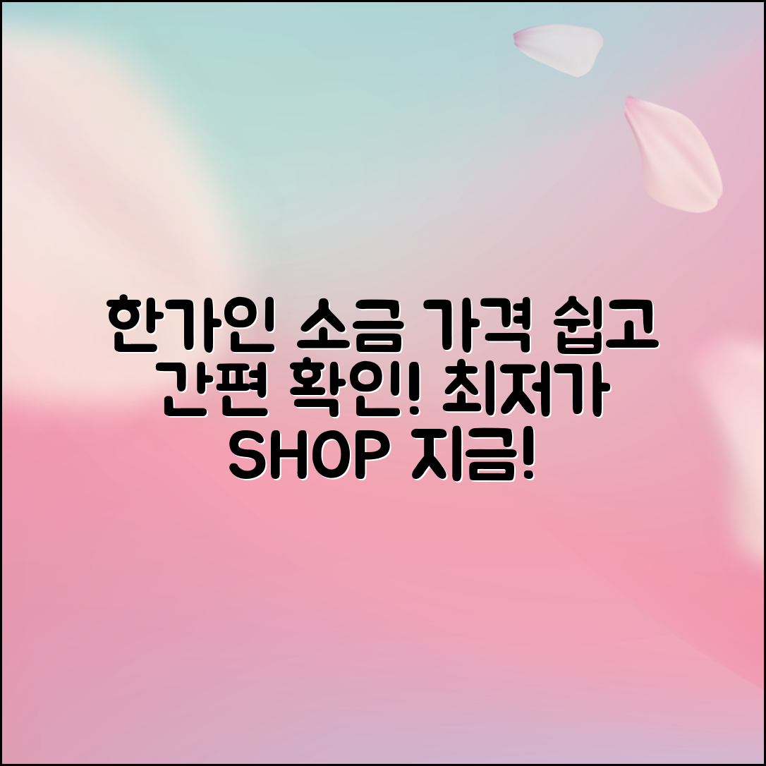 누구나 쉽게 알아보는 한가인소금 가격