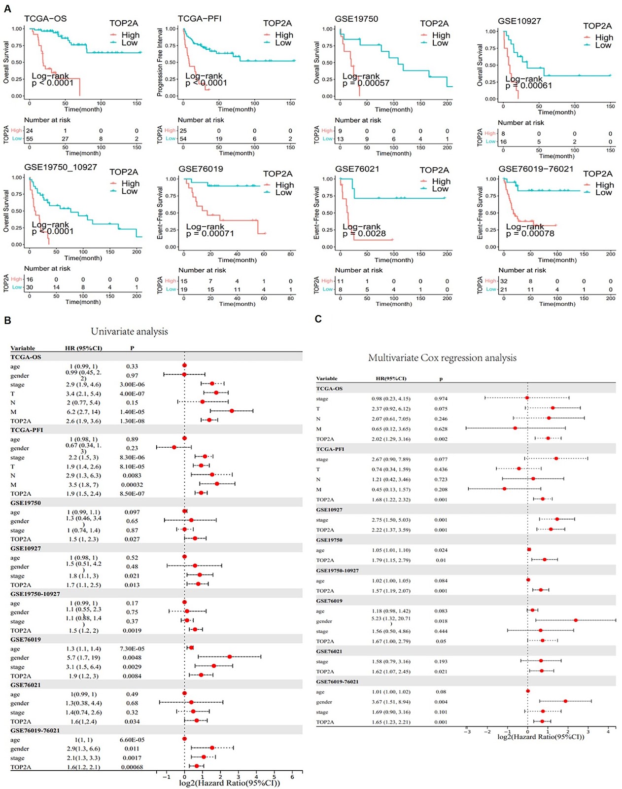 Exploring DNA topoisomerase II alpha in adrenocortical carcinoma through multi-omics analysis: a potential biomarker and therapeutic target