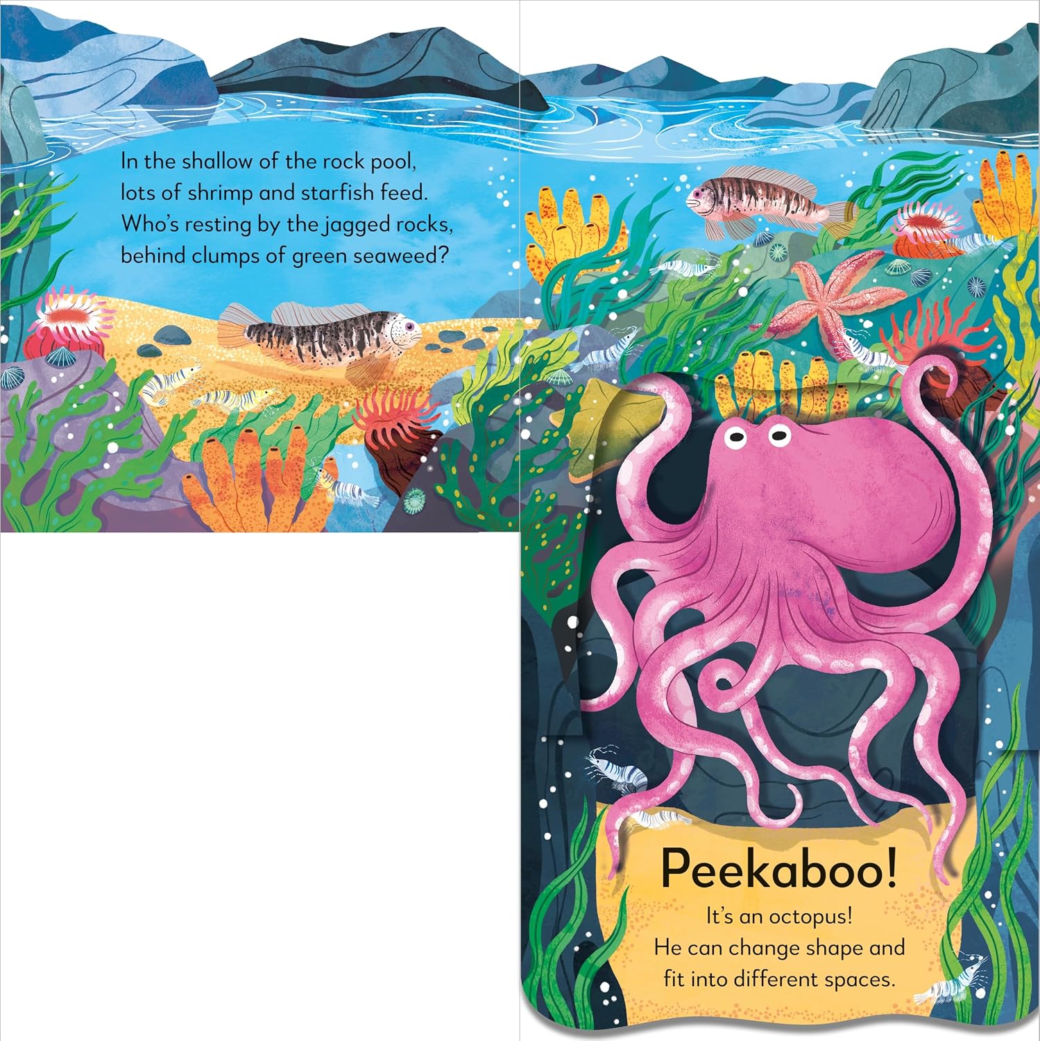 Pop-Up Peekaboo! Seashore - thumbnail 3
