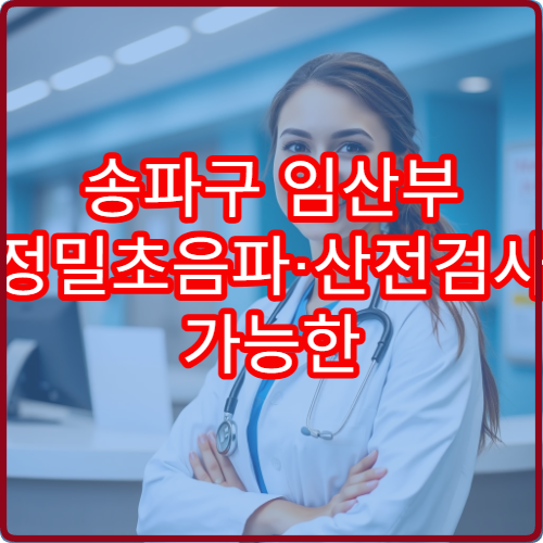 송파구 임산부 정밀초음파·산전검사 가능한 산부인과 정보