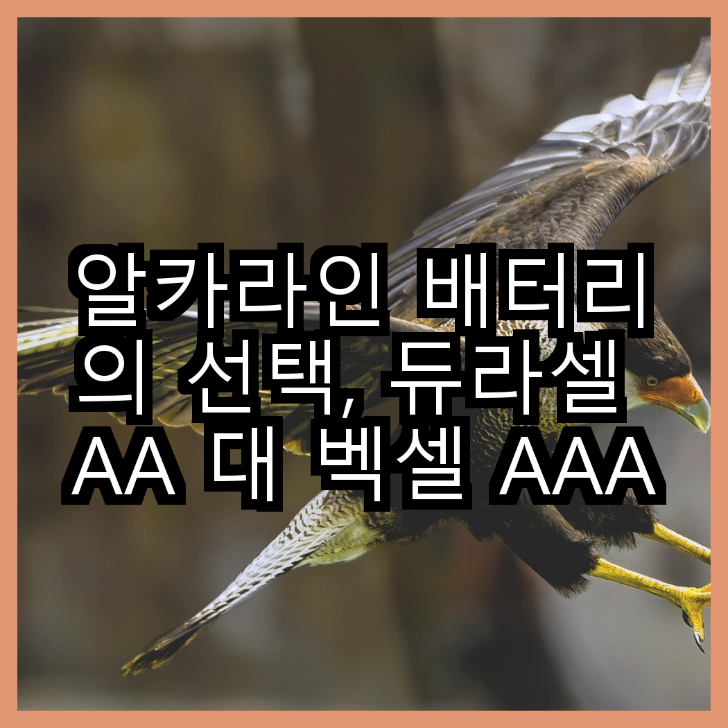 알카라인 배터리의 선택, 듀라셀 AA 대 벡셀 AAA, 당신은 어떤 것을 선택할 건가요? 썸네일