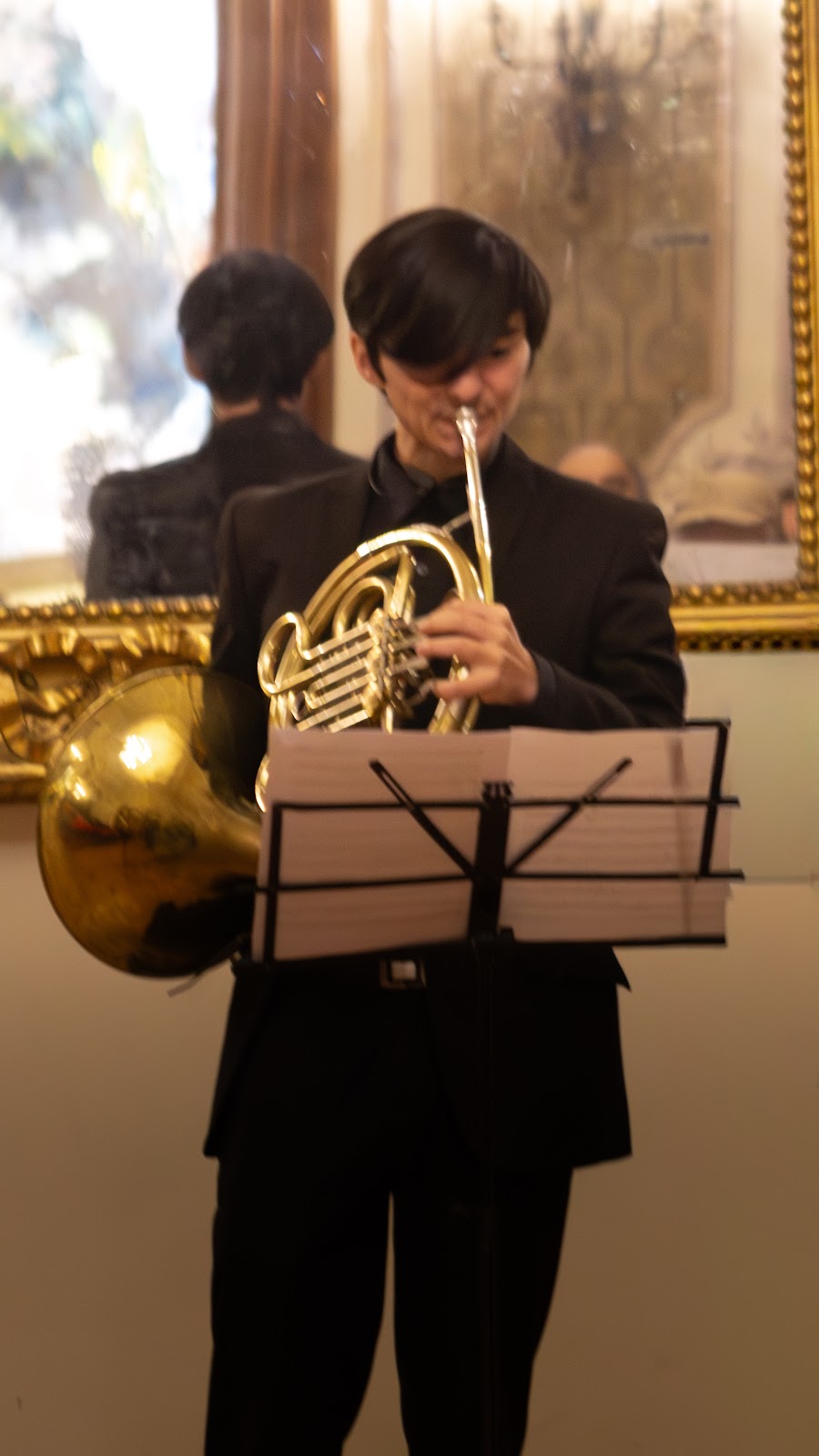 Cornista de la Orquesta