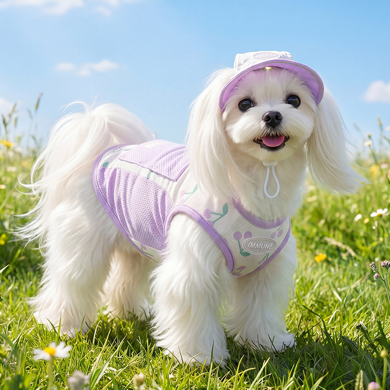 Summer Dog Shirt, Cooling, with Leash