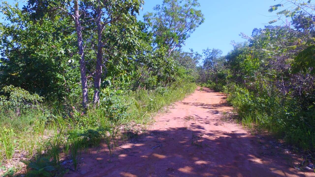Fazenda no Município de Cavalcante - GO 9