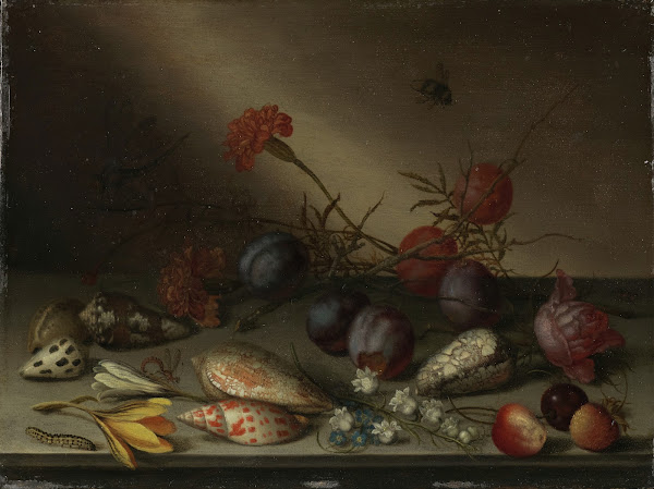 Still Life with Shells Fruit and Flowers ca 163040