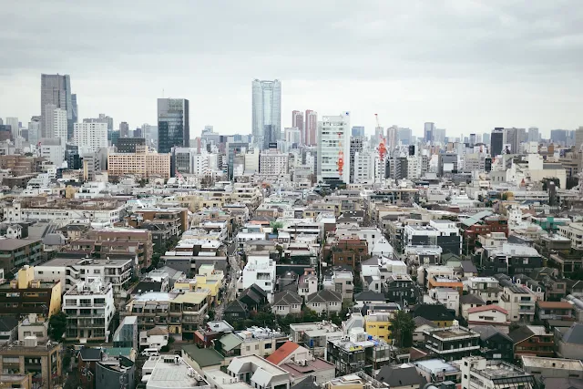 Can You Pay Japan Company Capital Through Wise or Payoneer? 2026 Rules for Non-Resident Founders