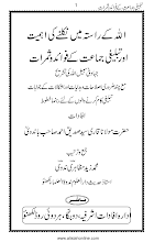 Allah kay Rasta main Nikalnay ki Ahmiat  By Maulana Siddiq Ahmad Bandvi  PDF