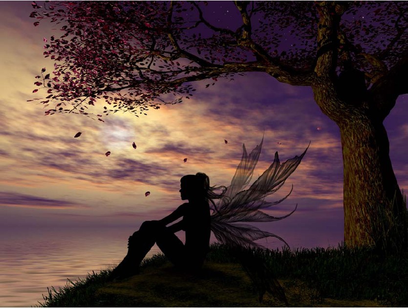 HAE JY016 The Dreamer