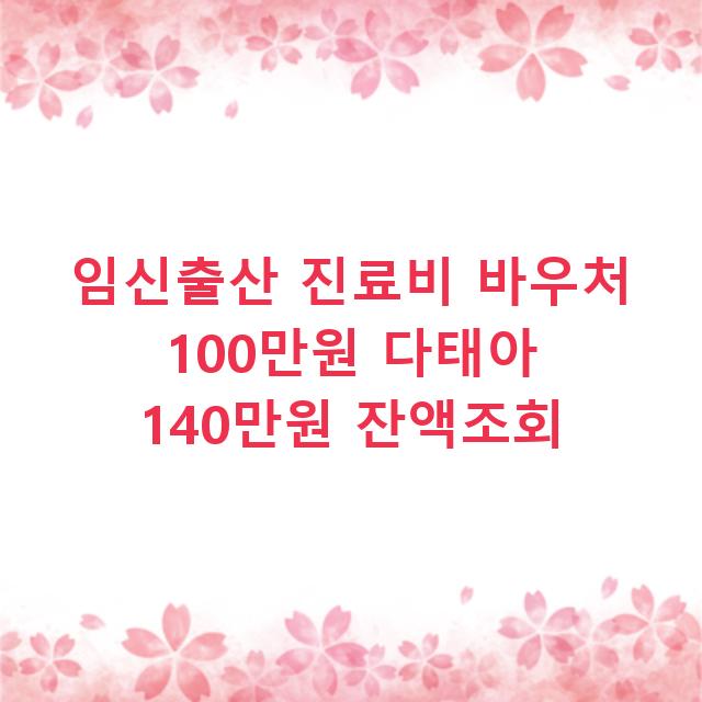 임신출산 진료비 바우처 100만원 다태아 140만원 잔액조회