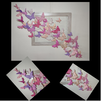 Cuadro Mariposas