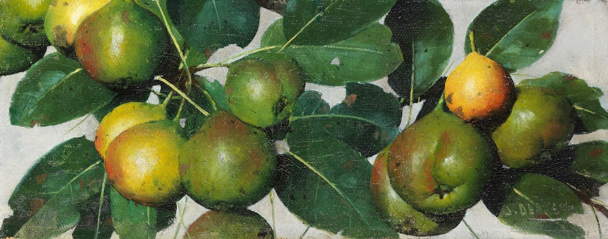 Birnen 1884