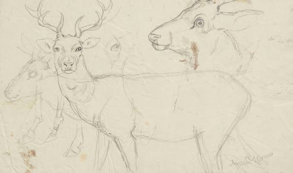 Studies of deer 1860   1924