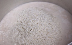 Hòa 1/4 lon nước cốt dừa với 1 lít nước lọc rồi cho vào nồi đun sôi. Sau đó cho nếp đã vo vào, trộn đều đậy nấp đun sôi.