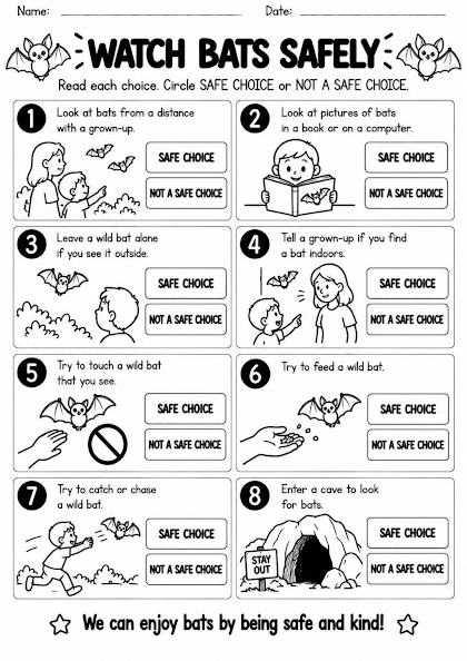 Safe Bat Observation Worksheet