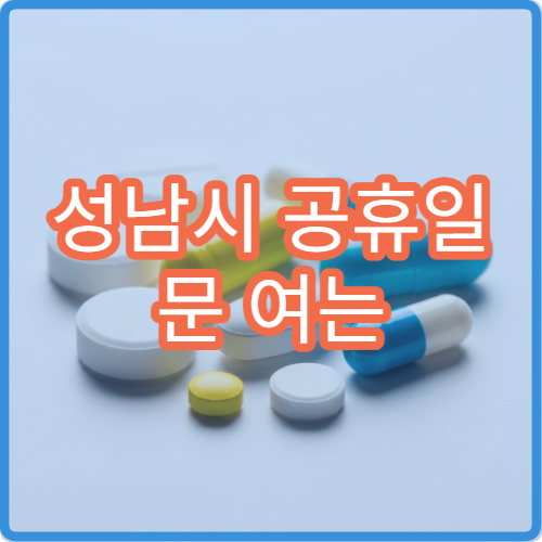 성남시 공휴일 문 여는 약국 찾기 당직약국 위치 및 야간 운영 시간 확인