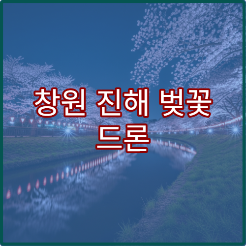 창원 진해 벚꽃 드론 촬영 금지 구역과 허용 팁 공유