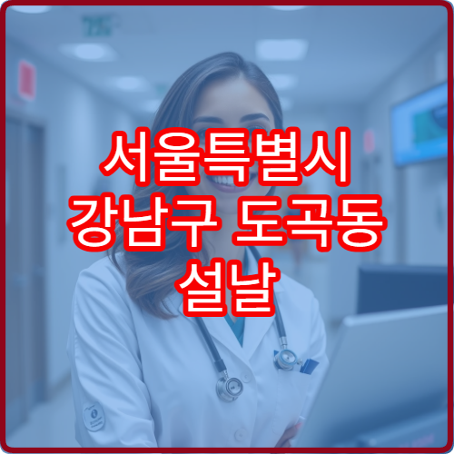 서울특별시 강남구 도곡동 설날 명절 연휴 심야약국 도곡사거리·수인분당선 근처 처방전