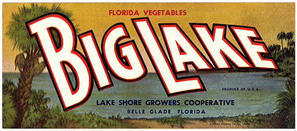 Big Lake Florida Vegetables Label 1930 1950